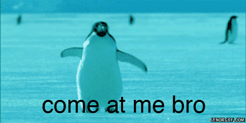 funny-pictures-gif-penguin.gif